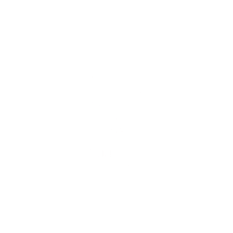 Vizmark